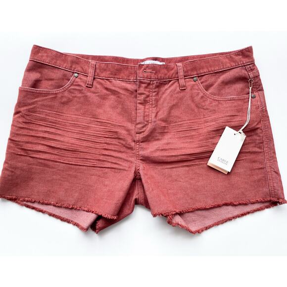 Carve Designs Pants - NWT Carve Designs Oahu 4" Shorts in Color Penny Size 16
